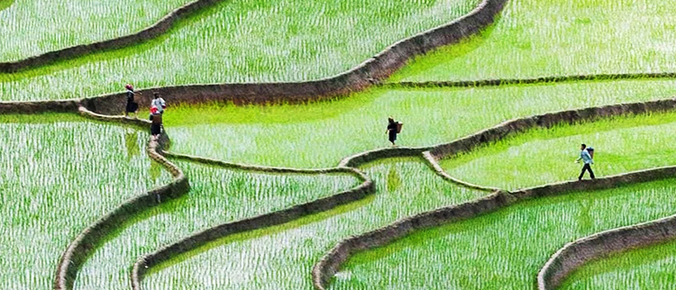 恒峰g22(国际)官网入口-每天有惊喜