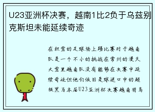 U23亚洲杯决赛，越南1比2负于乌兹别克斯坦未能延续奇迹